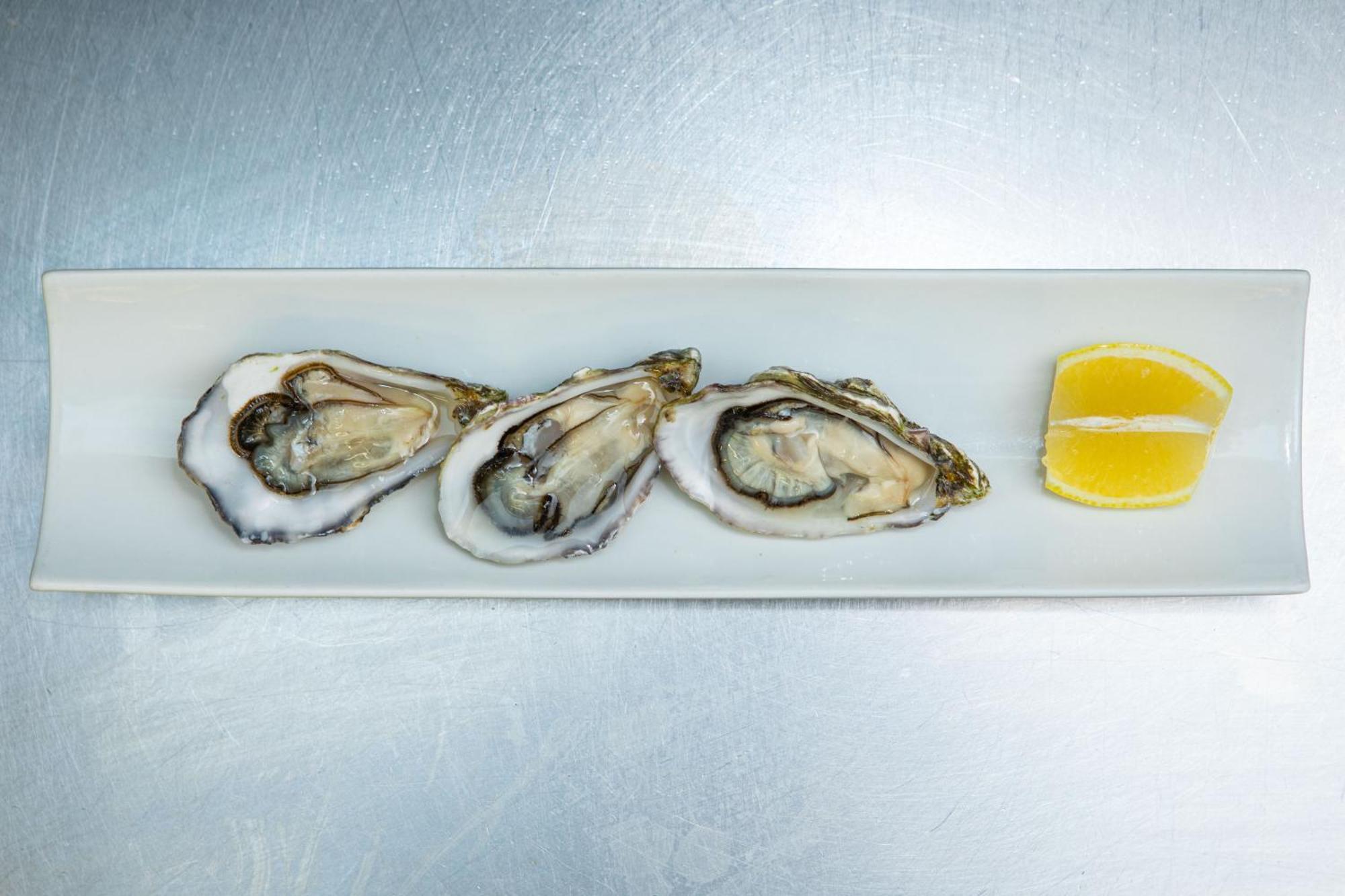 Ashes Seafood Restaurant Accommodation Дингл Экстерьер фото