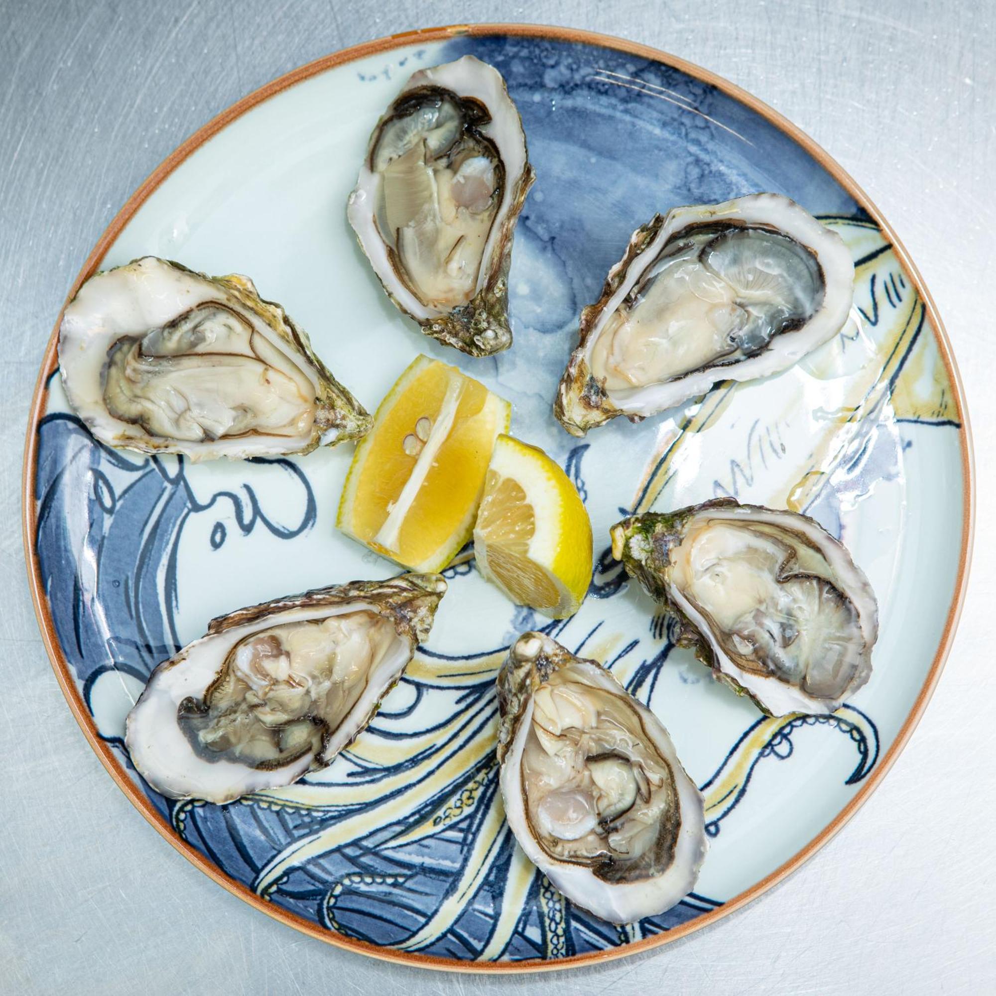 Ashes Seafood Restaurant Accommodation Дингл Экстерьер фото